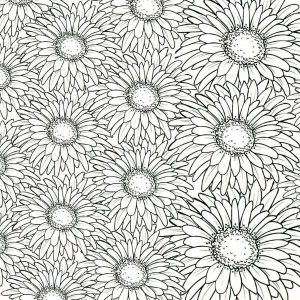 Daisies Texture Stamp