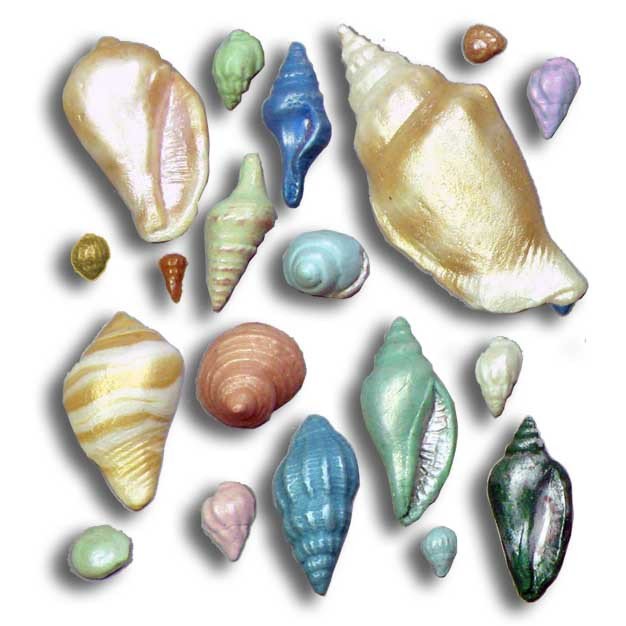 Conical Sea Shells Push Mold