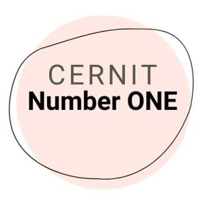 Cernit Number One polymer clay comes in a variety of beautiful colours