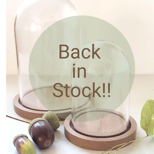 Domes now back in stock