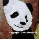 diane-marcotte-panda-4-2